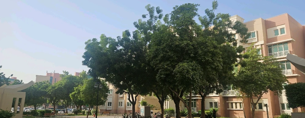 GIF uploaded by Vinod