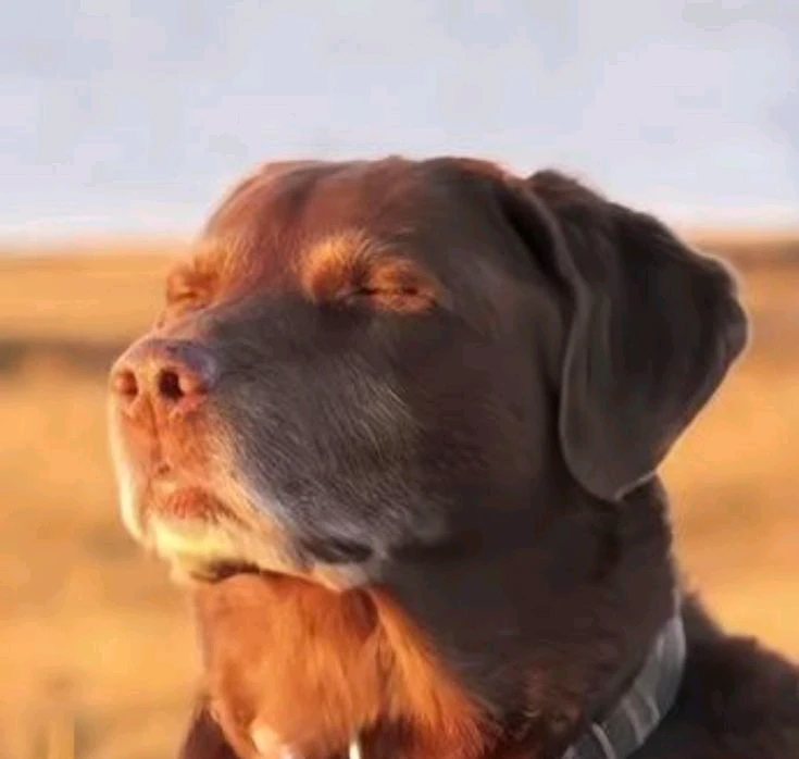 Фото загрузил Валерия
