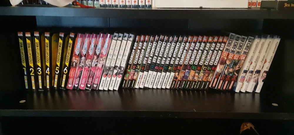 Je commence sérieusement à manquer de place 🥲