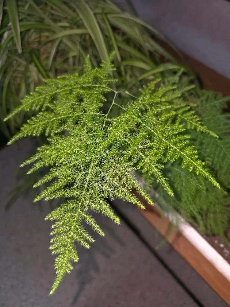 GIF uploaded by Davit