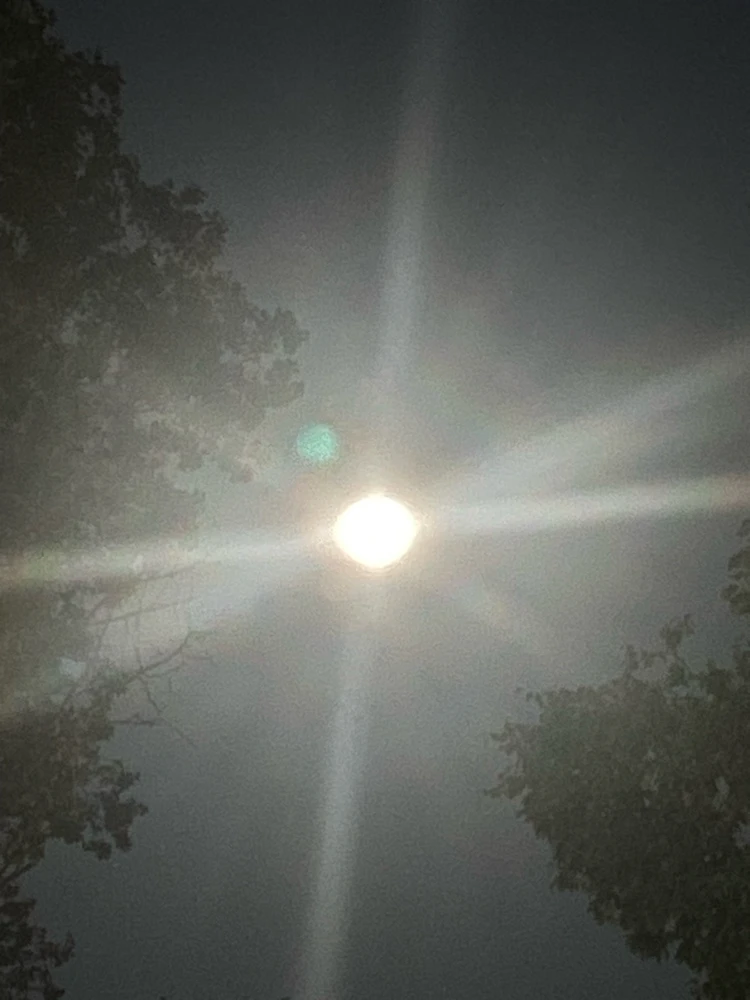 GIF uploaded by Robbie