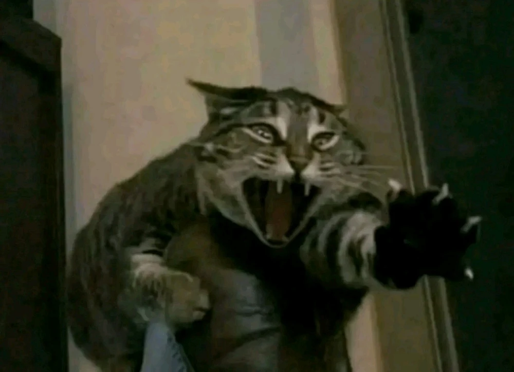 Cuando vas a extraer y cierran antes de llegar