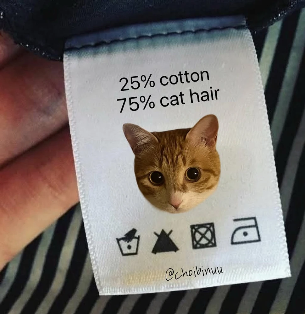 GIF uploaded by Klaudia