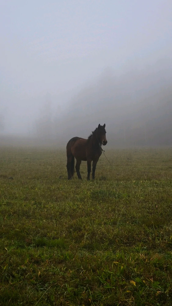 GIF uploaded by Volha