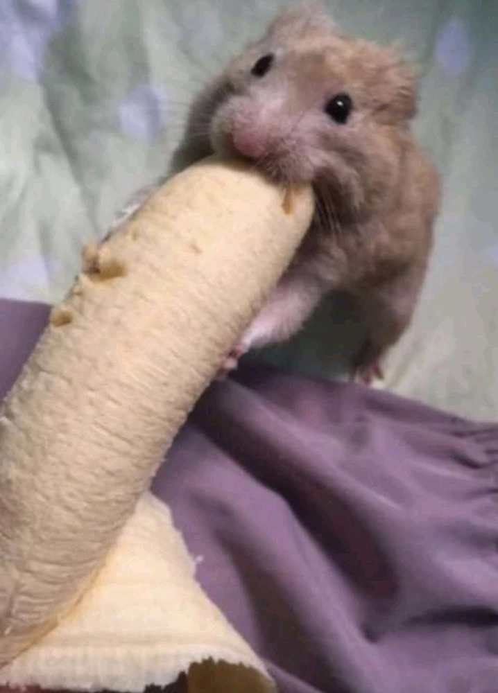 Idk what to name this