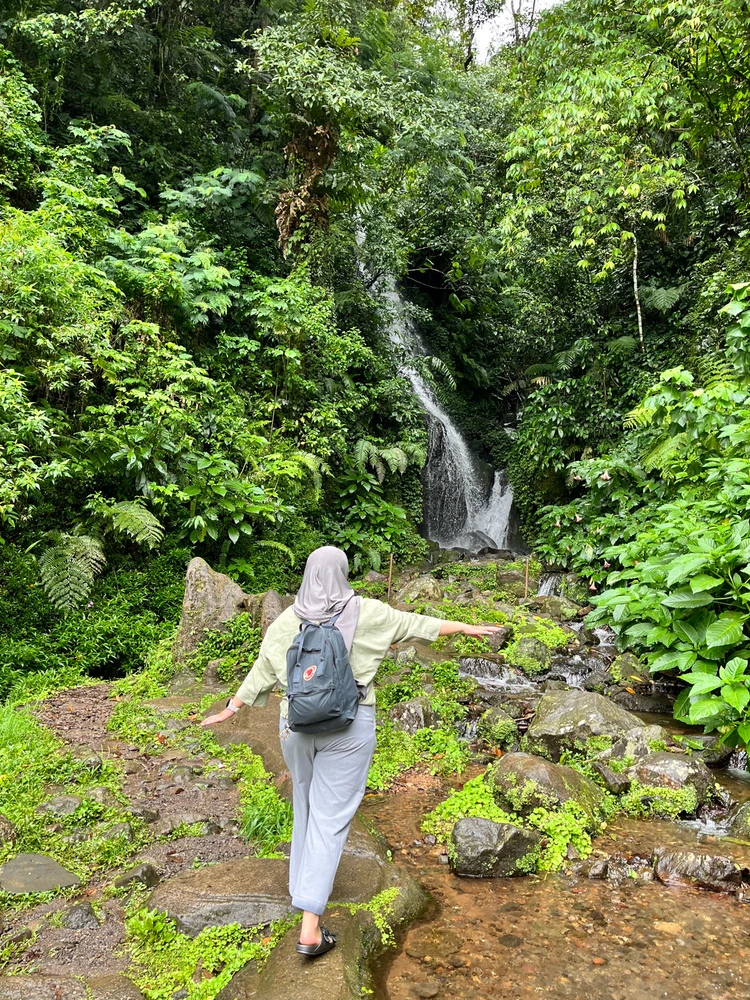 Today i walked at Kebun Raya Cibodas