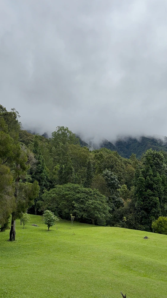 Today i walked at Kebun Raya Cibodas