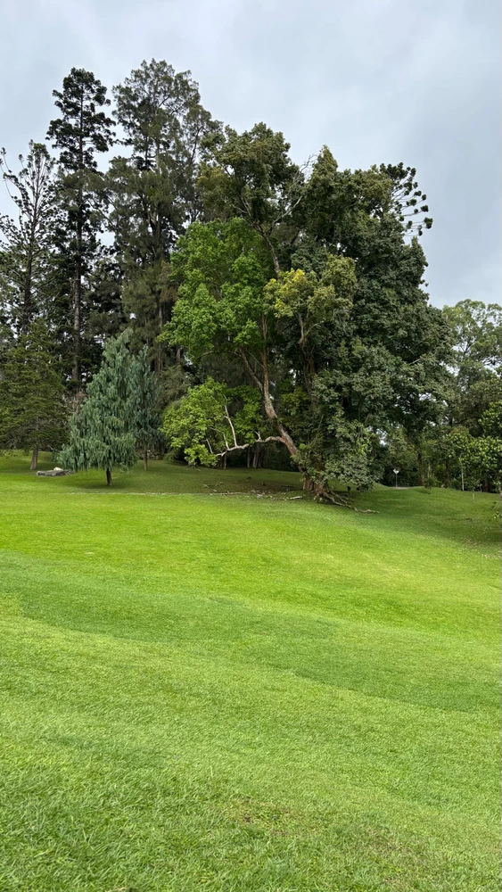 Today i walked at Kebun Raya Cibodas