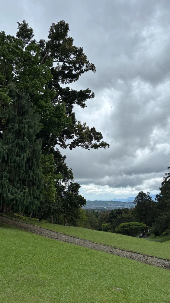 Today i walked at Kebun Raya Cibodas