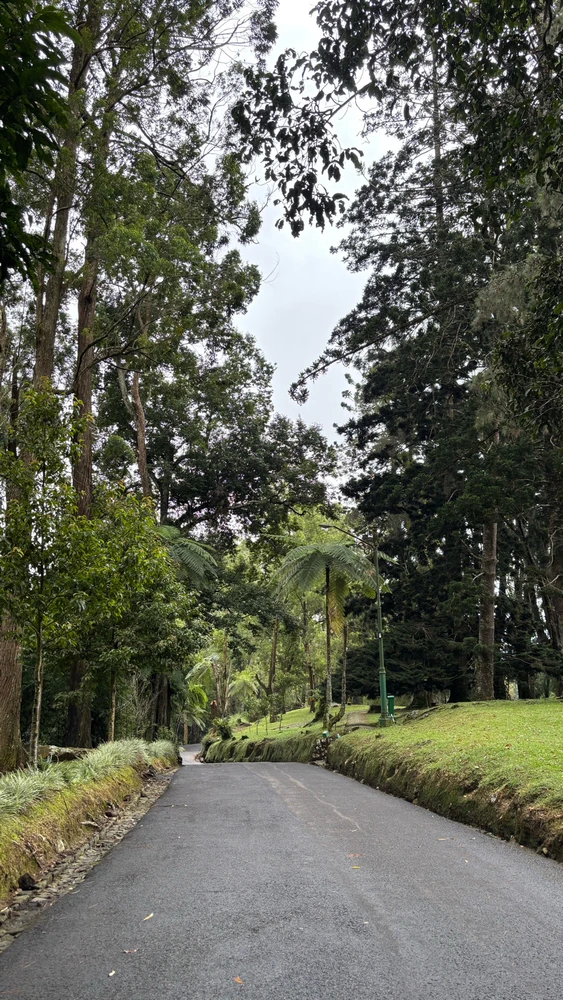 Today i walked at Kebun Raya Cibodas