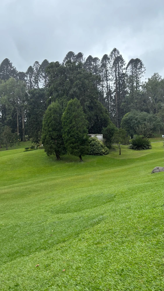 Today i walked at Kebun Raya Cibodas