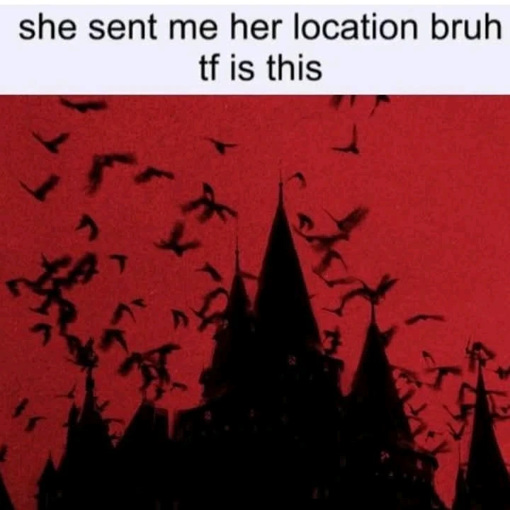 GIF hochgeladen von Osthexe