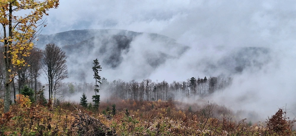 A bit cold but worth it :)