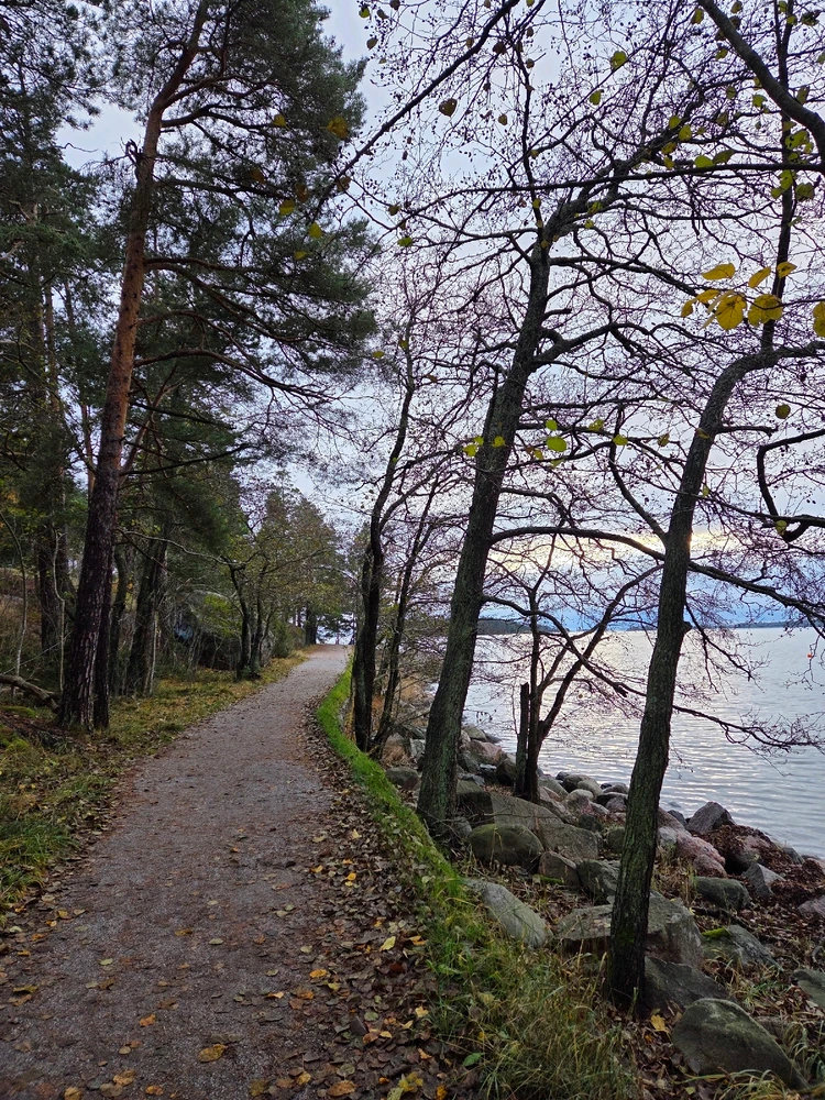 Autumn by the Baltic Sea