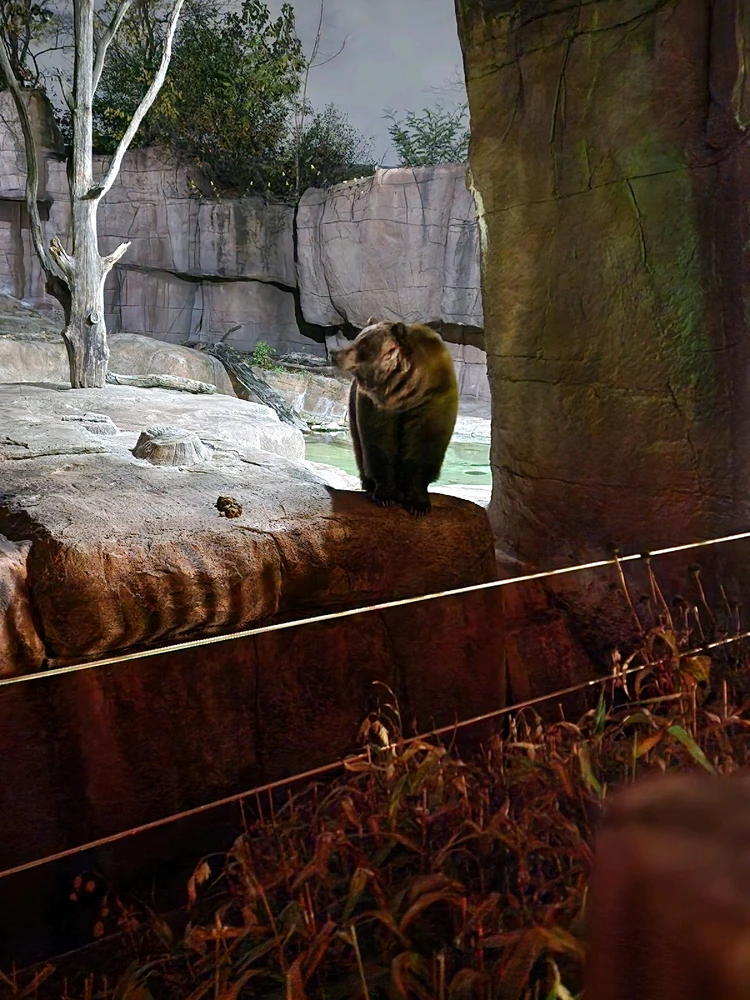 GIF uploaded by Dasha