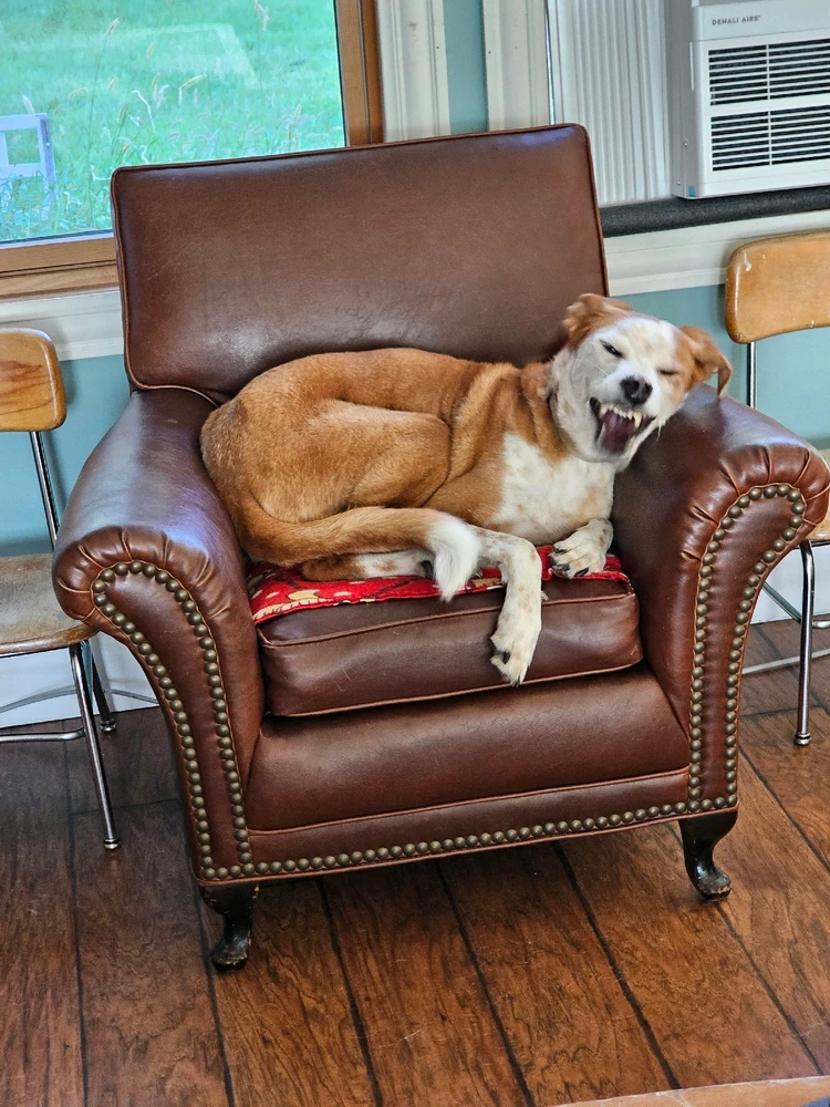 GIF uploaded by Andrew