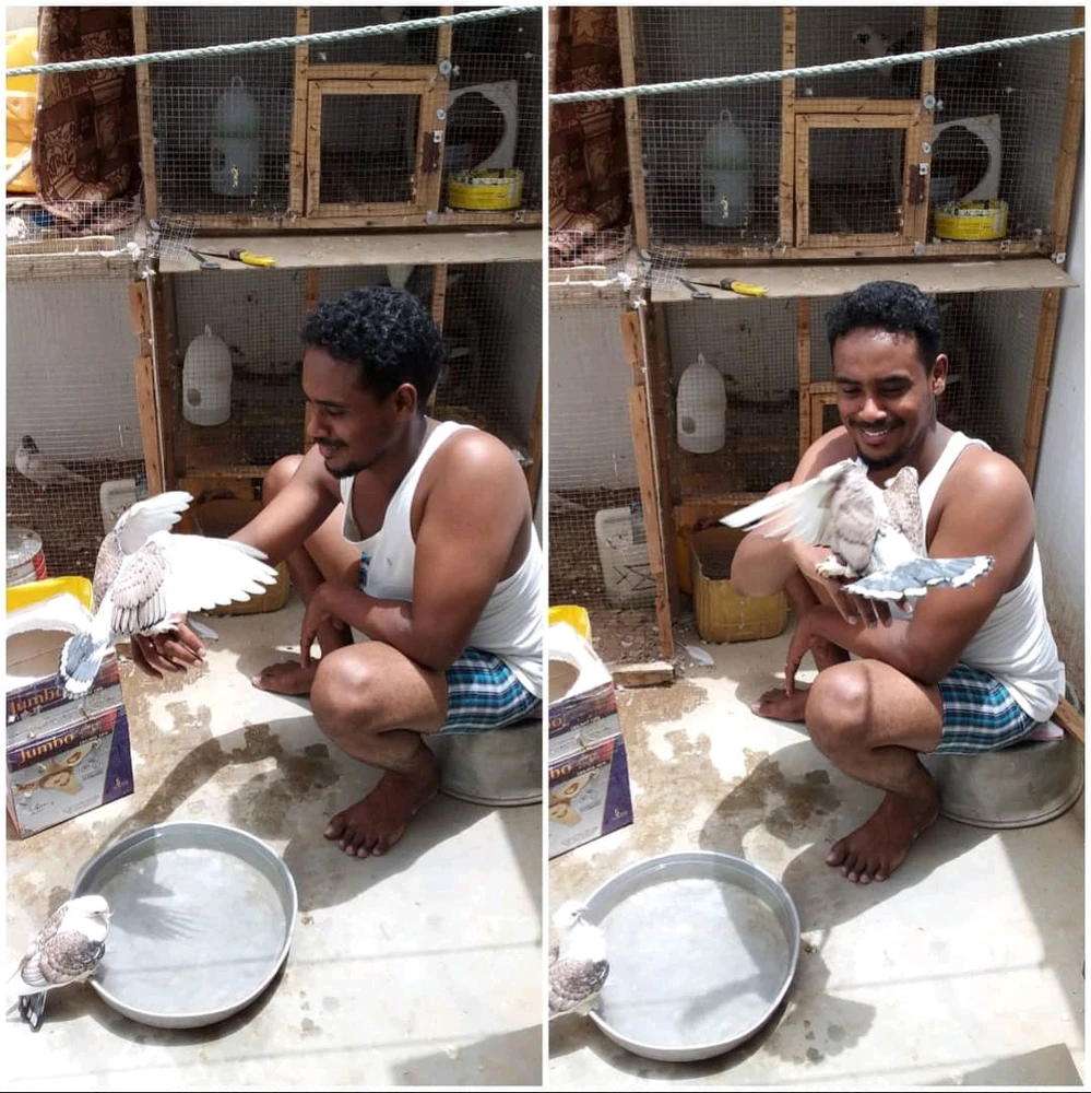 GIF uploaded by Ebrahim