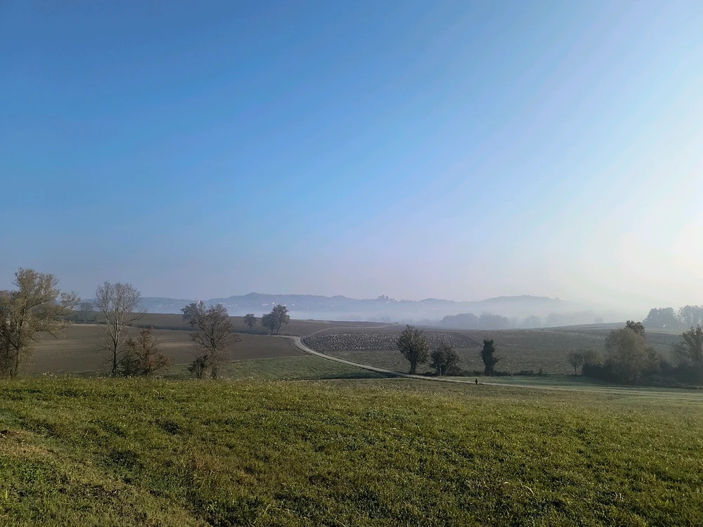 Image uploaded by Sulei