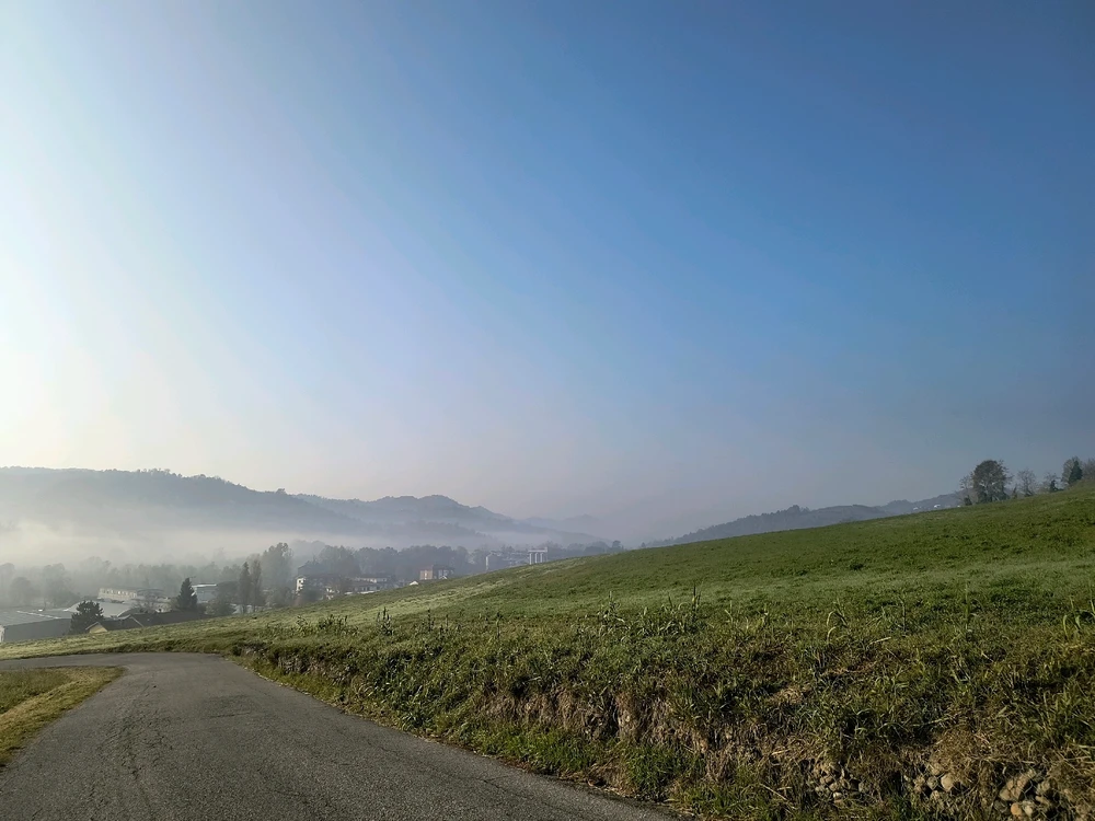 Image uploaded by Sulei