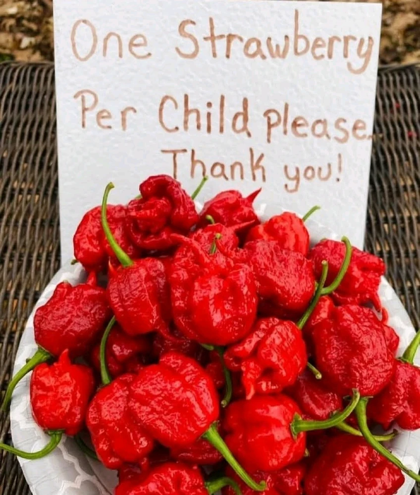 GIF uploaded by Jose