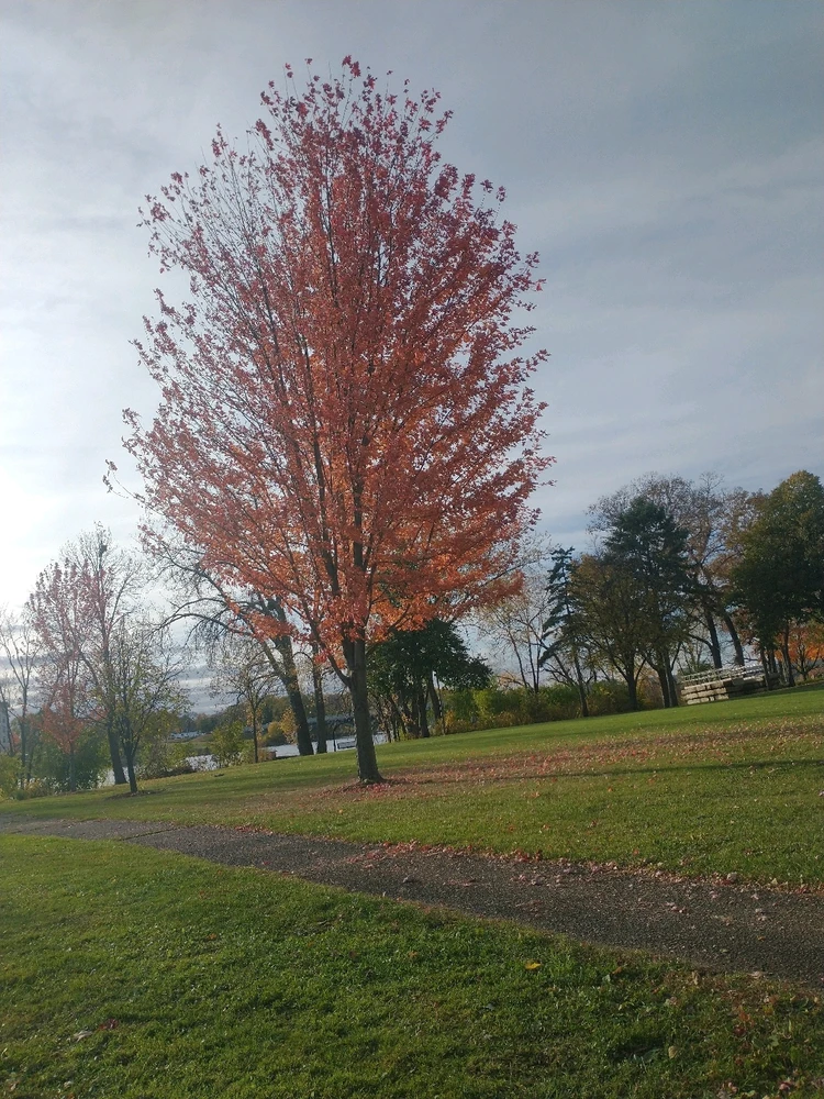 GIF uploaded by GrimmJow