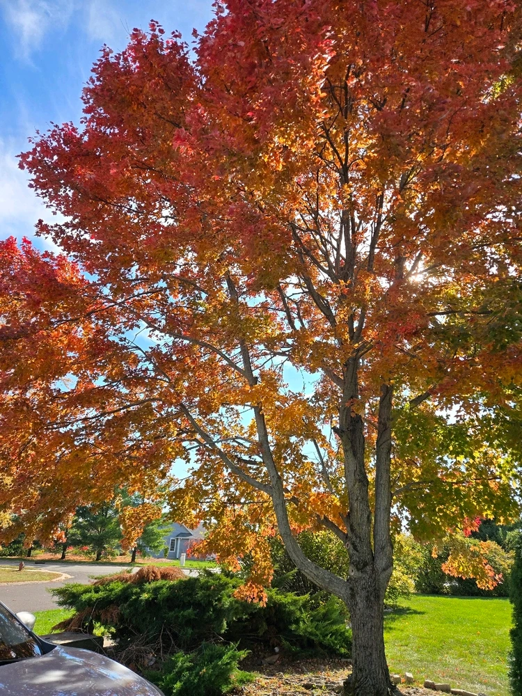 Image uploaded by Rachel