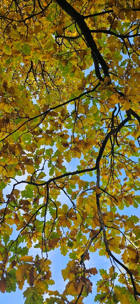 Фото загрузил Mary