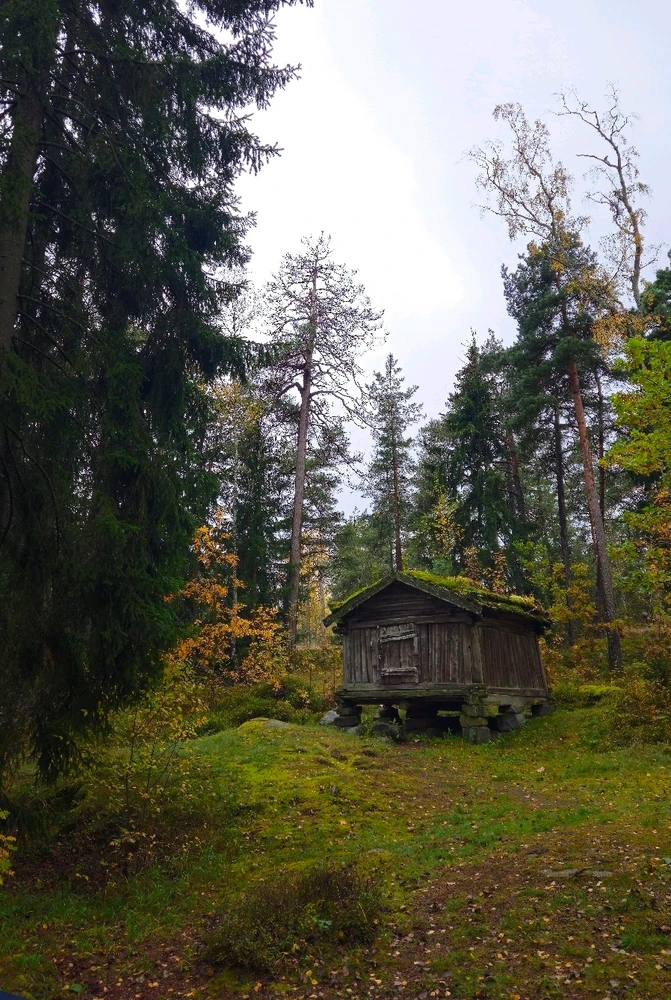 Фото загрузил Mary