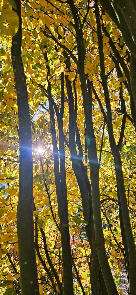 Фото загрузил Mary