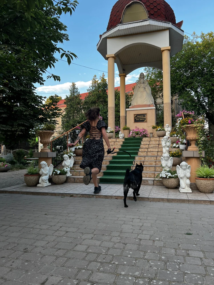 Help Ukrainian dog🥹