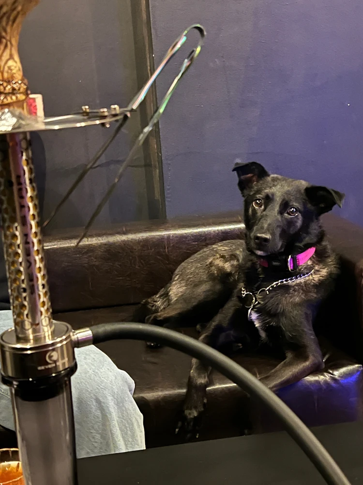 Imagen subida por Luhodiy