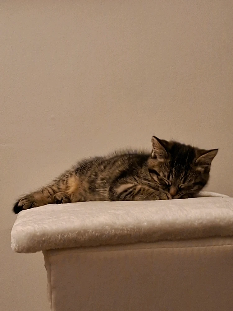 GIF ajouté par Clarisse