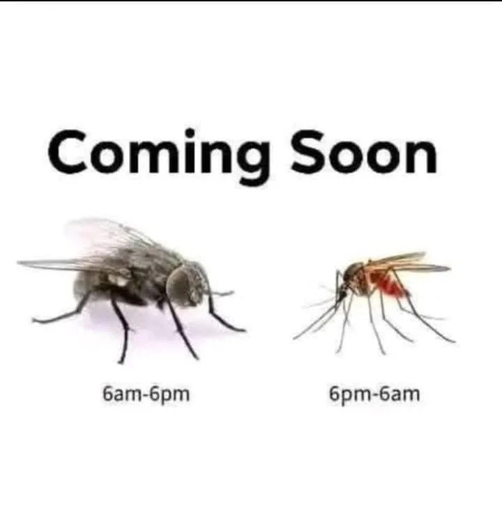 GIF uploaded by Gray