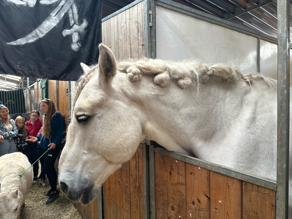 Image uploaded by Michele