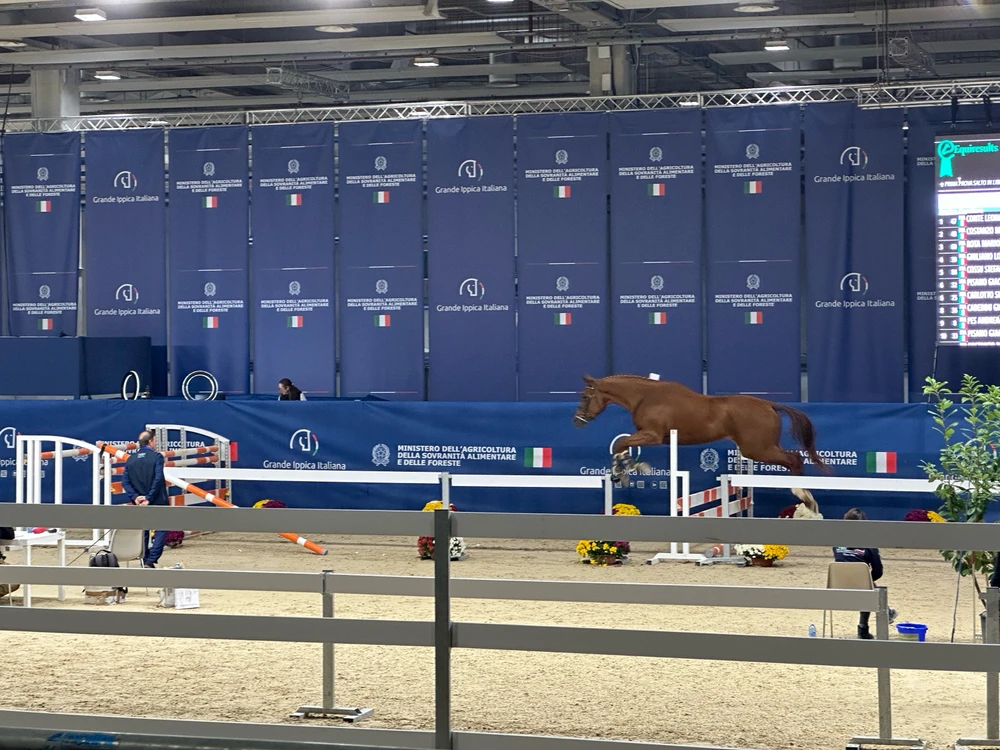 Image uploaded by Michele