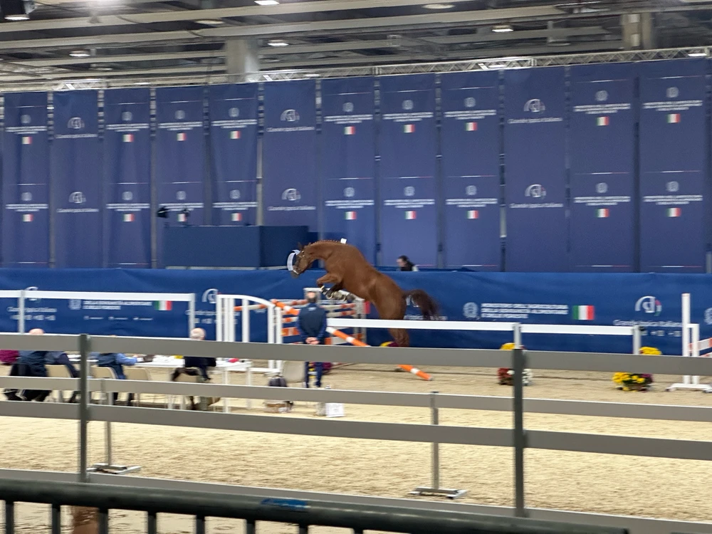 Image uploaded by Michele