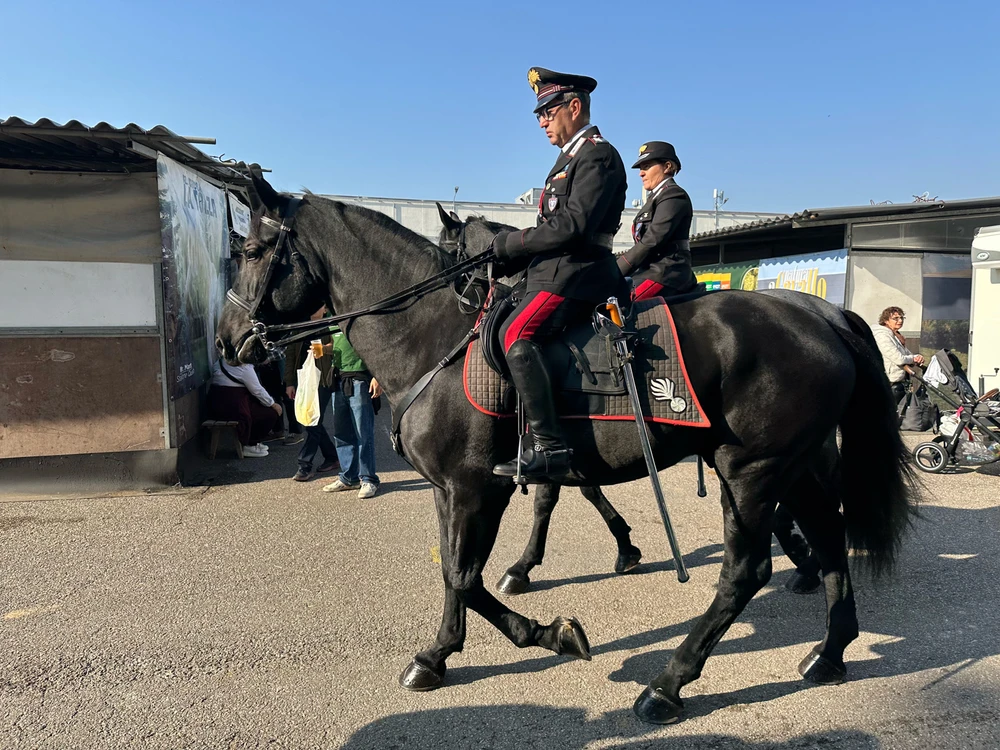 Image uploaded by Michele