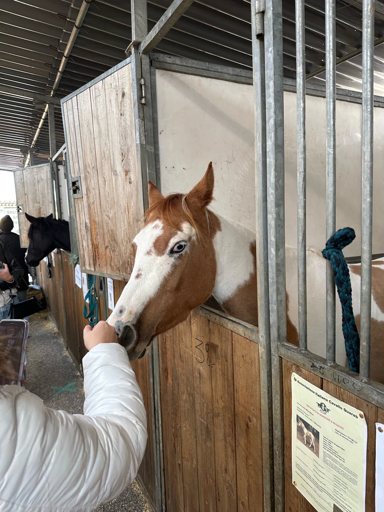 Image uploaded by Michele