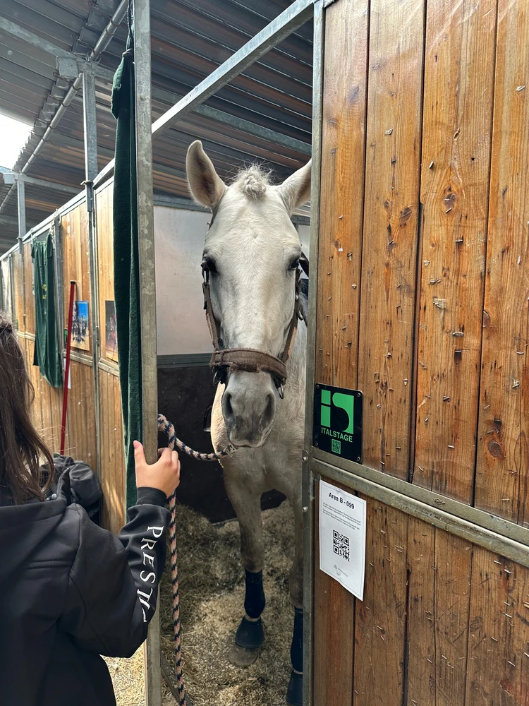 Image uploaded by Michele