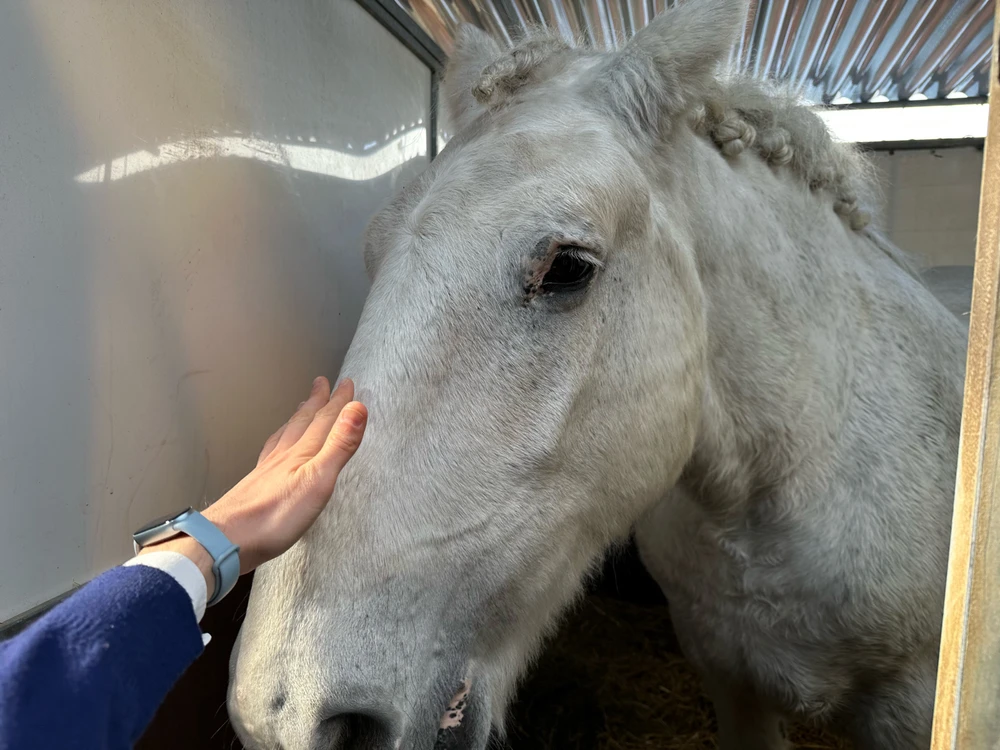 Image uploaded by Michele