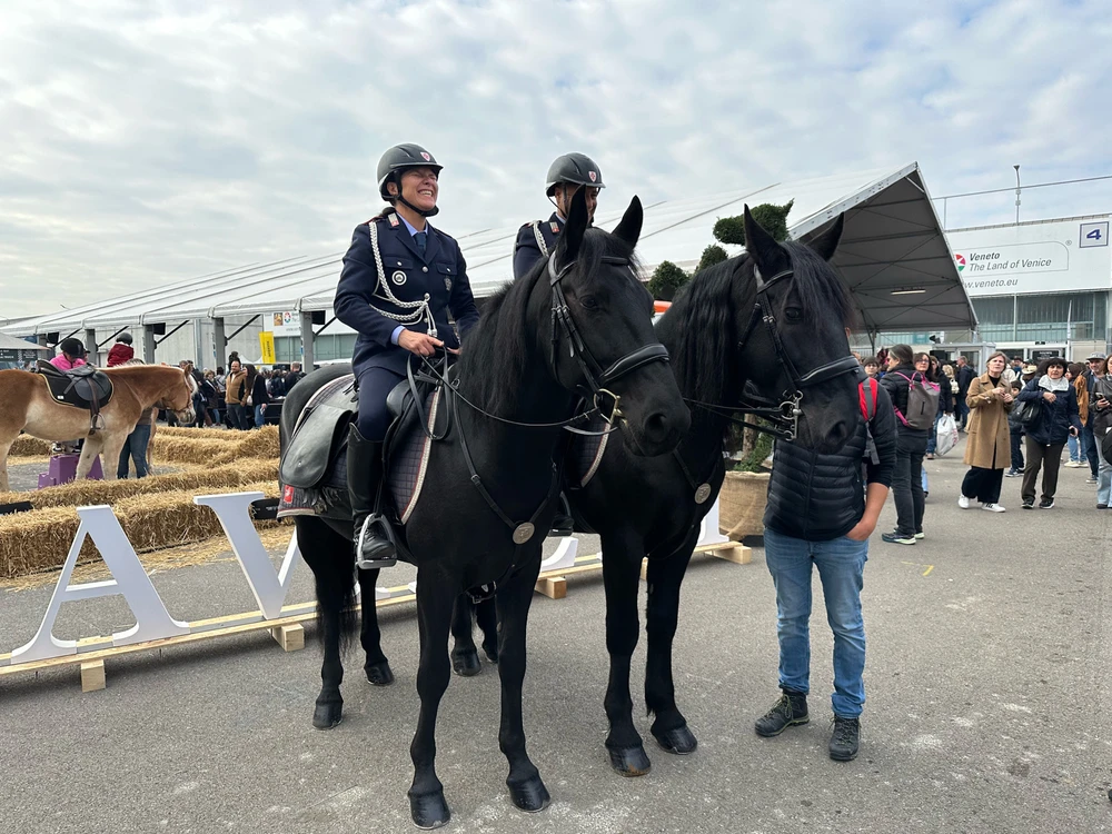 Image uploaded by Michele