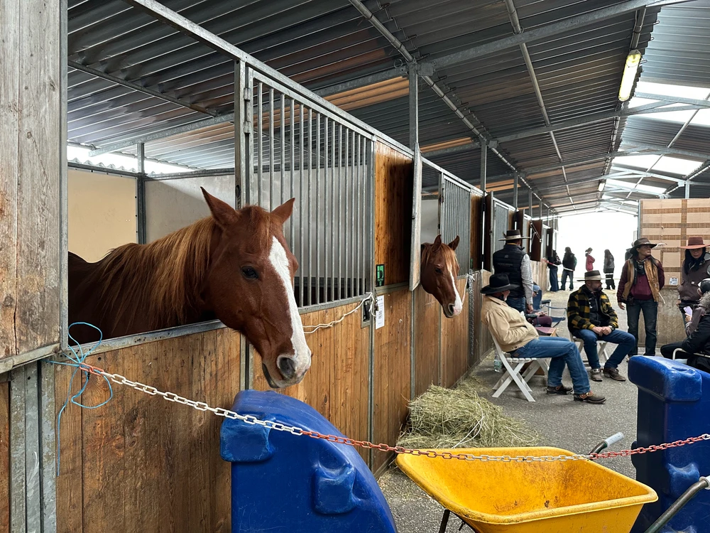 Image uploaded by Michele