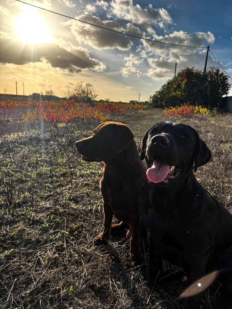 GIF enviado por Nuno