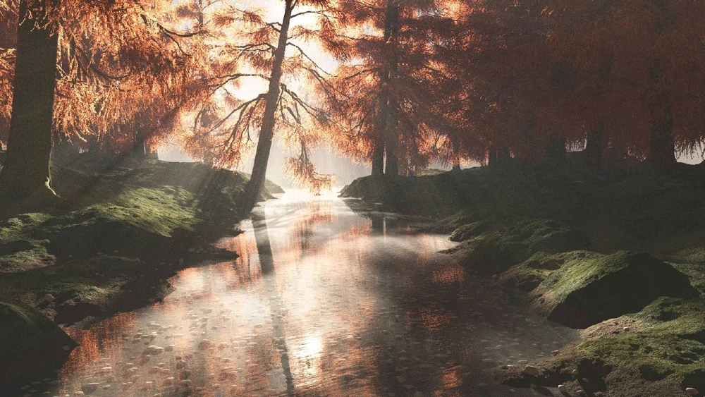 Sunbeam through the trees