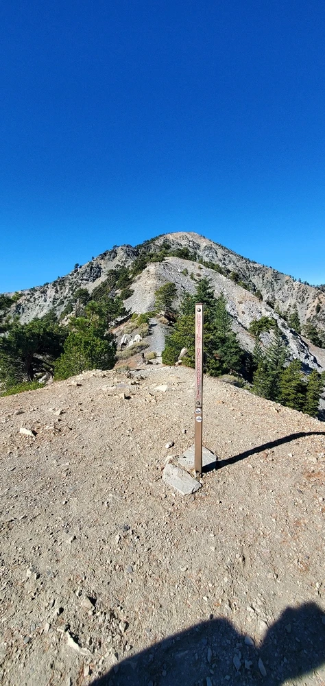 Image uploaded by Conlan