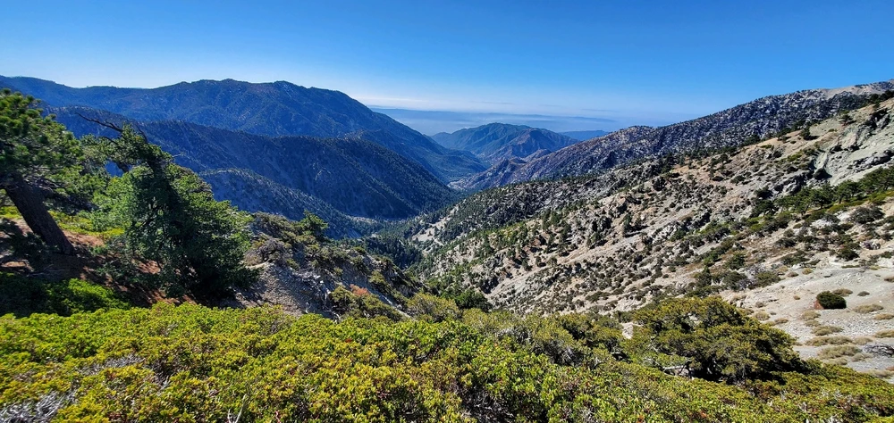 Image uploaded by Conlan