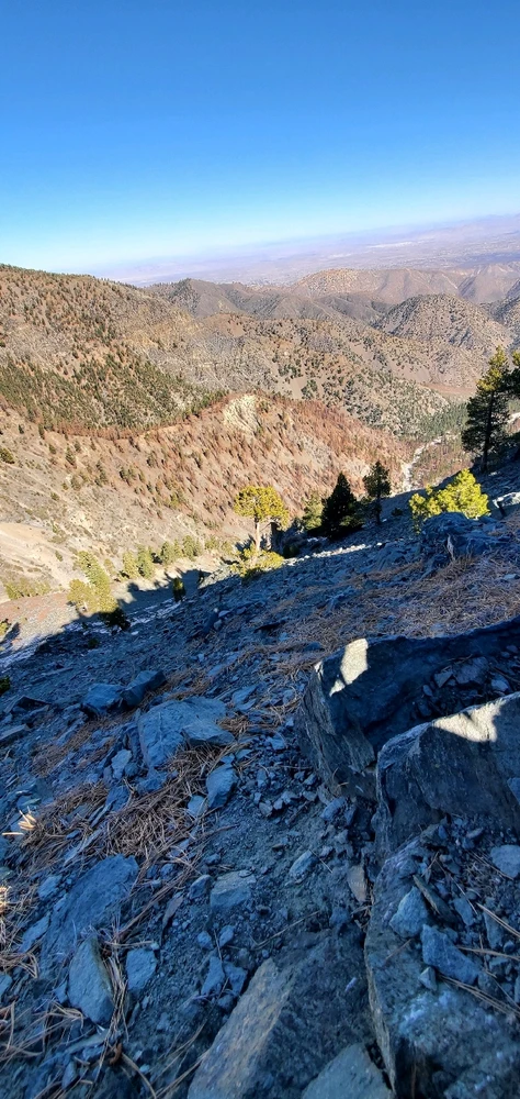 Image uploaded by Conlan