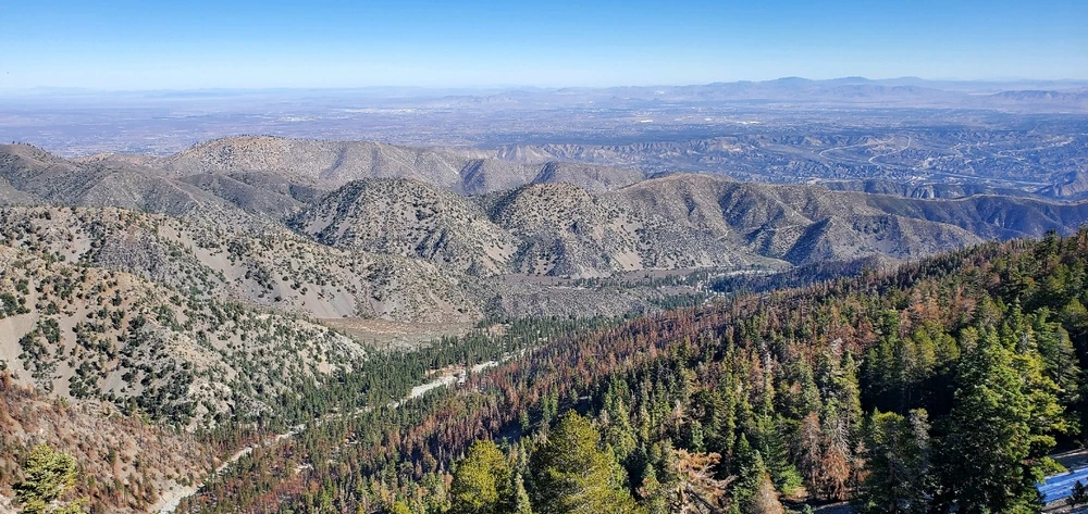 Image uploaded by Conlan