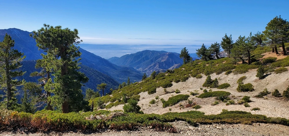 Image uploaded by Conlan