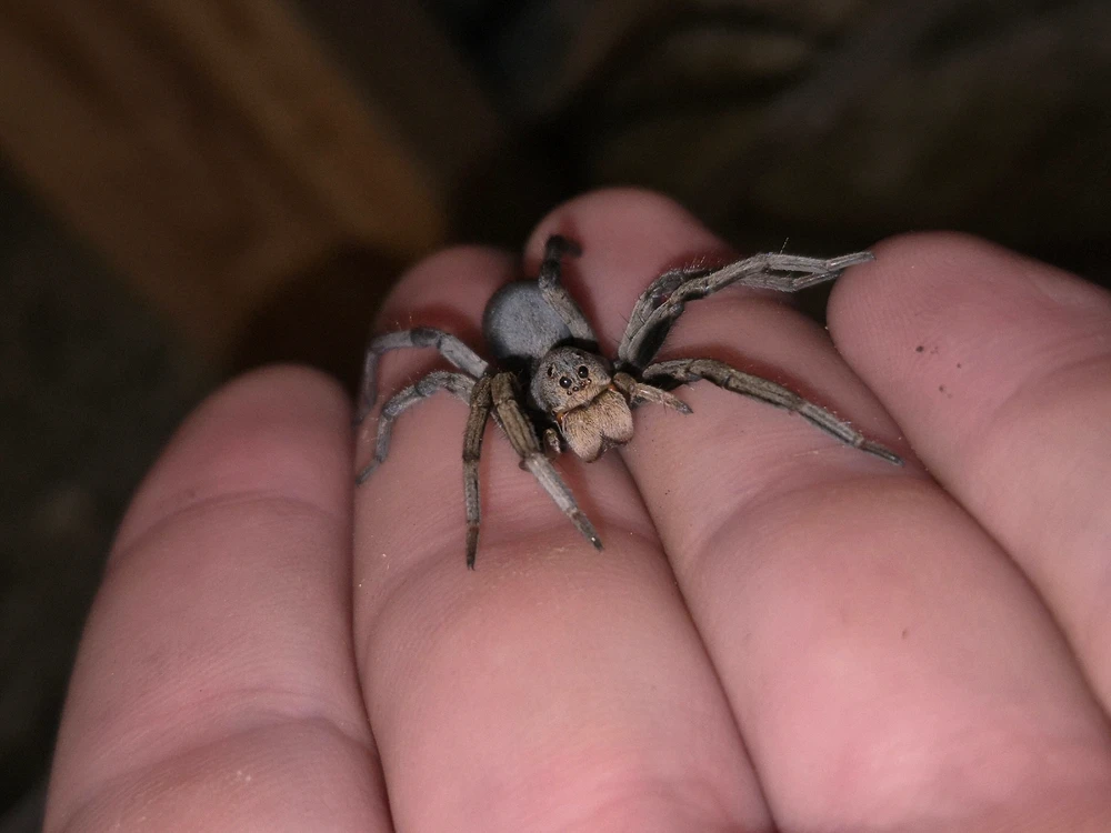 GIF uploaded by Tyson